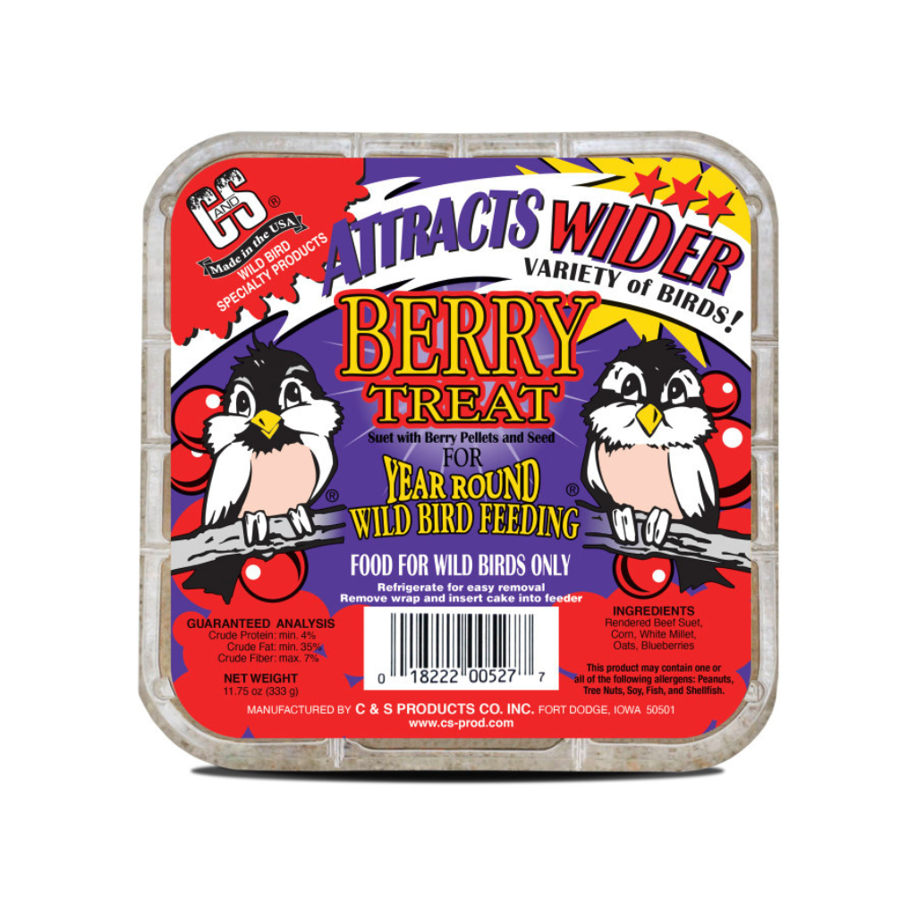 C&S Suet Treat for Wild Birds, 12 pack