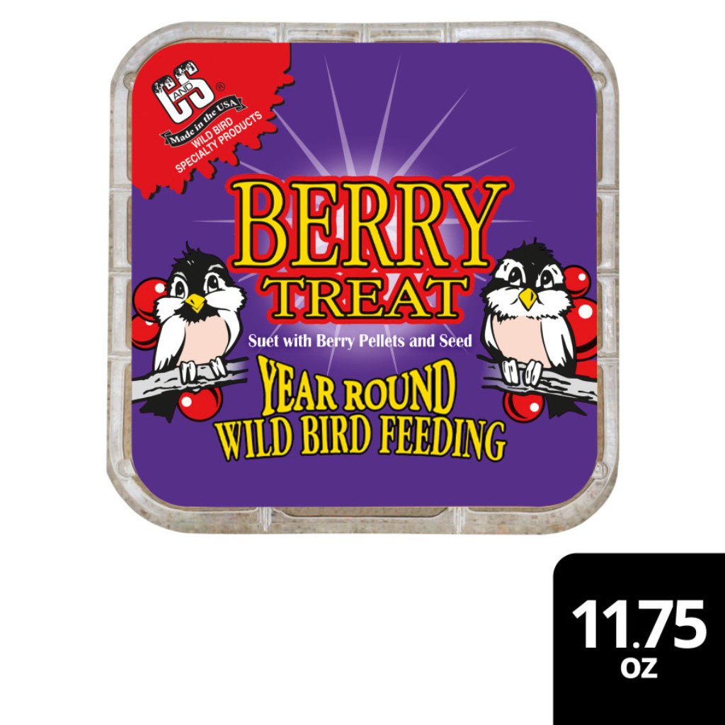 C&S Suet Treat for Wild Birds, 12 pack