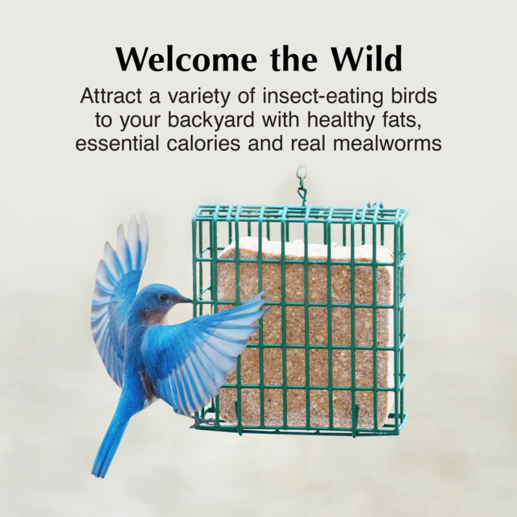 C&S Suet Treat for Wild Birds, 12 pack