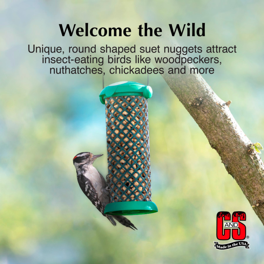 C&S Woodpecker Suet Nuggets Wild Bird Food (27 oz)