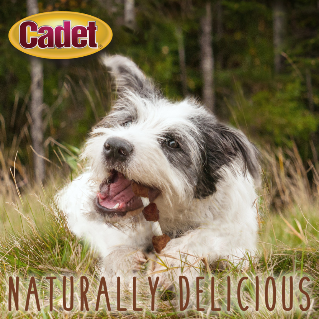 Cadet Gourmet Beef Hide Shish Kabob Dog Treats