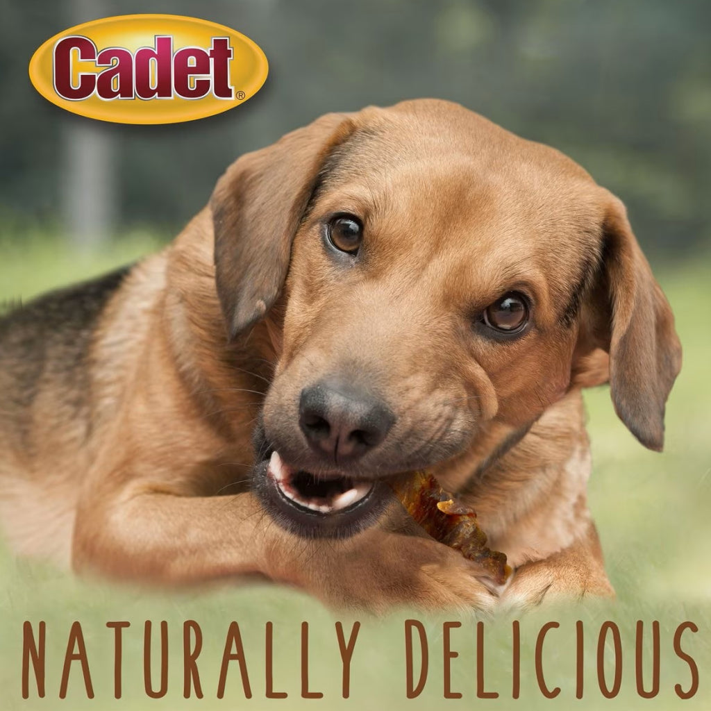 Cadet Gourmet Chicken-Wrapped Sweet Potato Treats for Dogs (14 oz)