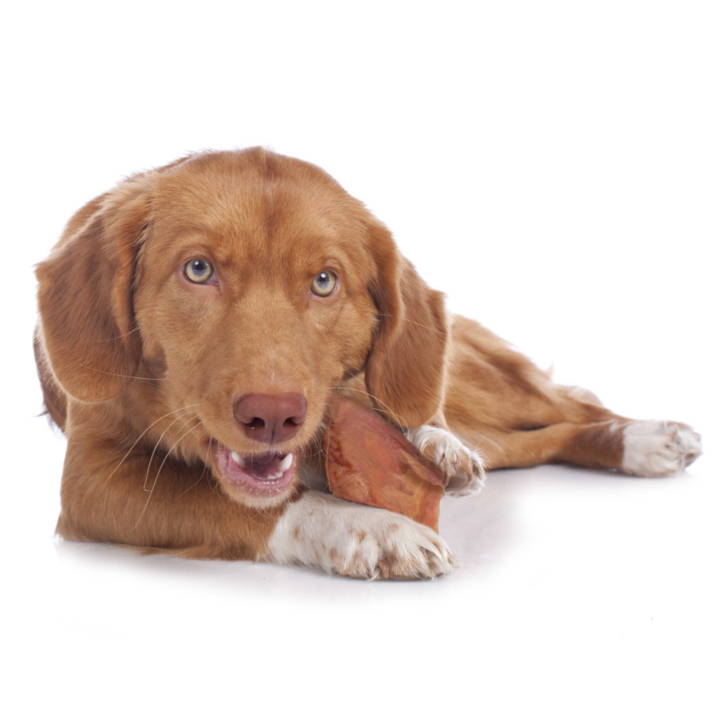 Cadet Natural Pig Ears for Dogs (12 ct)