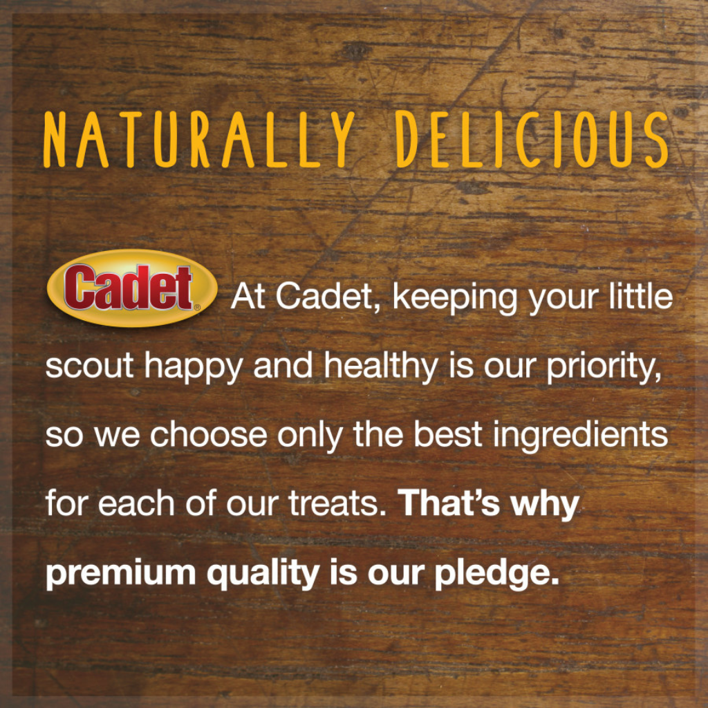 Cadet Natural Pig Ears for Dogs (12 ct)