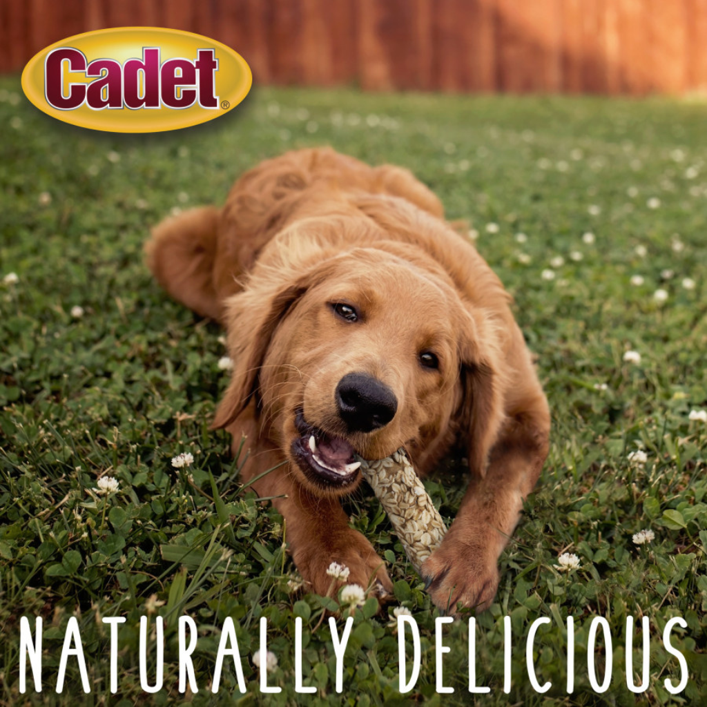 Cadet Smart Hide Rawhide Free Dog Chews (2 ct)