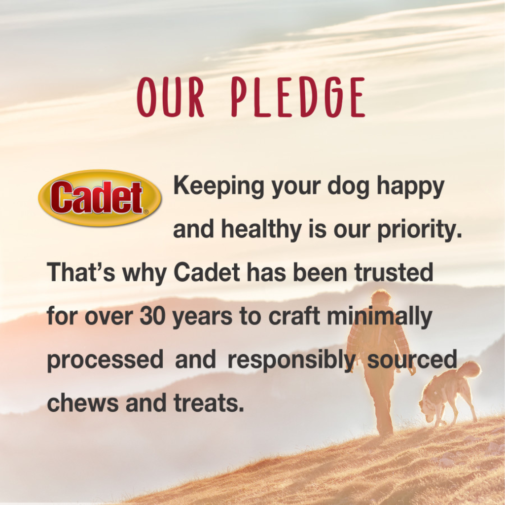 Cadet Smart Hide Rawhide Free Dog Chews (2 ct)
