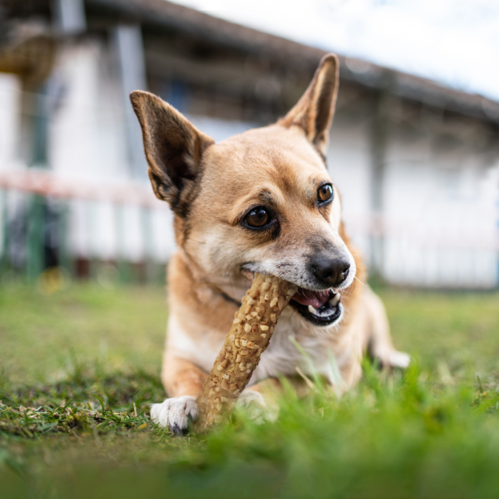 Cadet Smart Hide Rawhide Free Dog Chews (2 ct)
