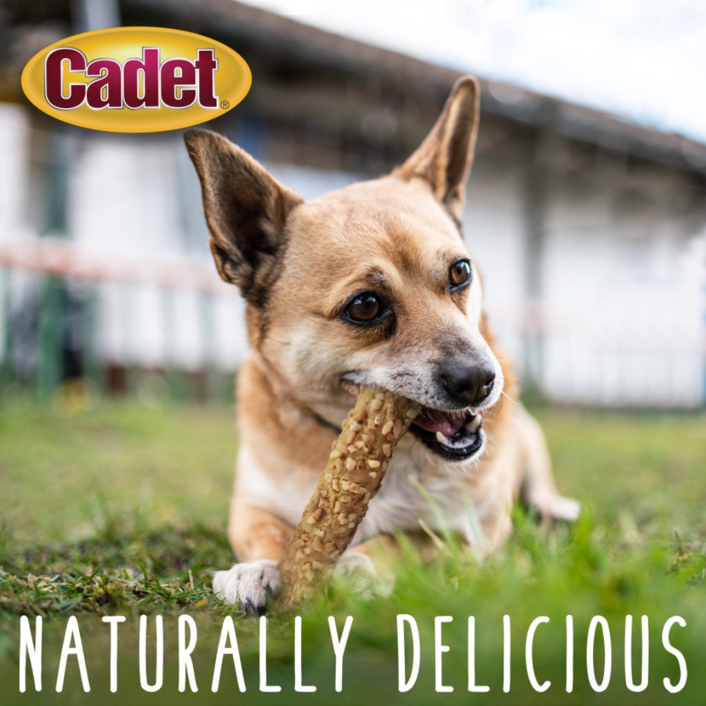 Cadet Smart Hide Rawhide Free Dog Chews (2 ct)