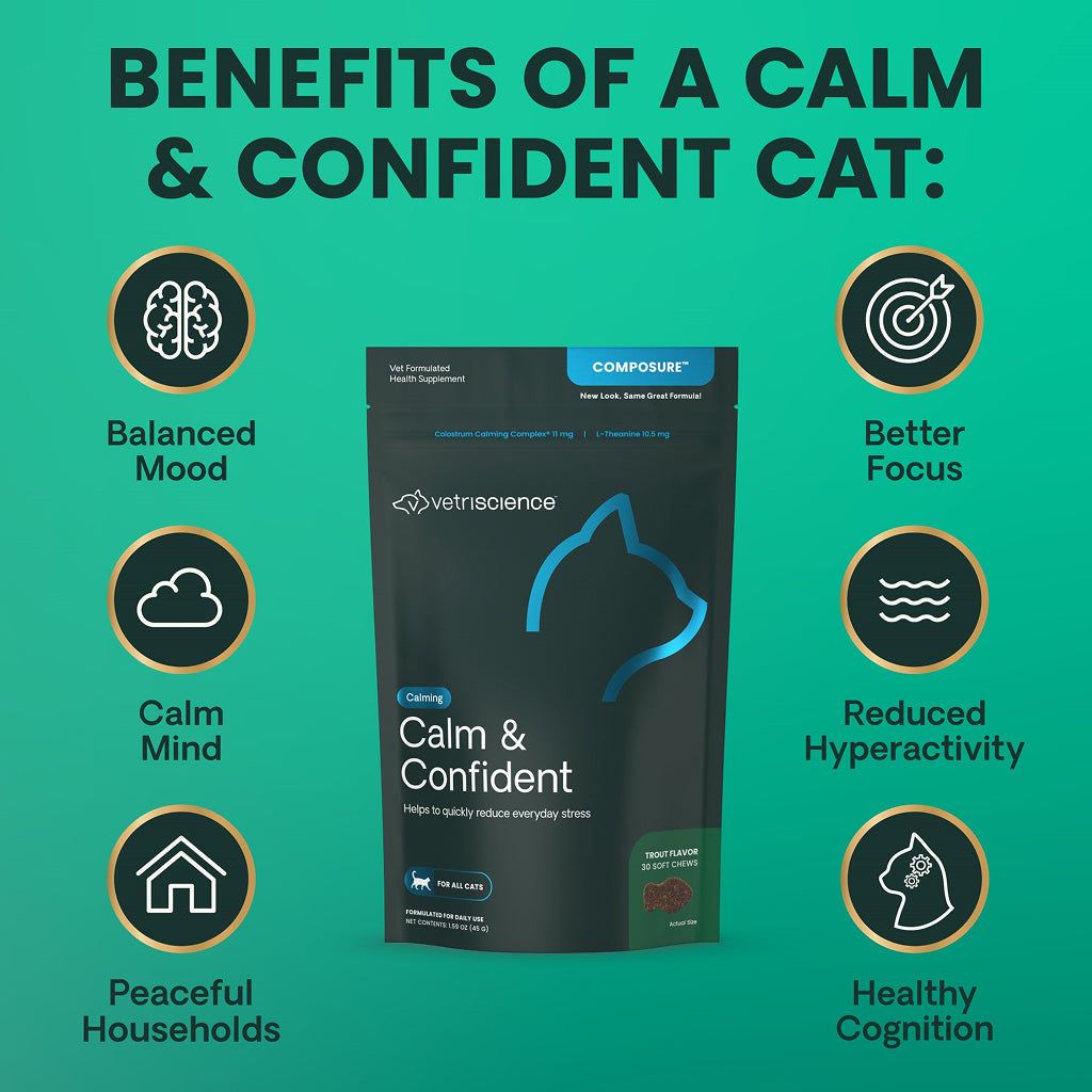 Calm & Confident chews for Cats