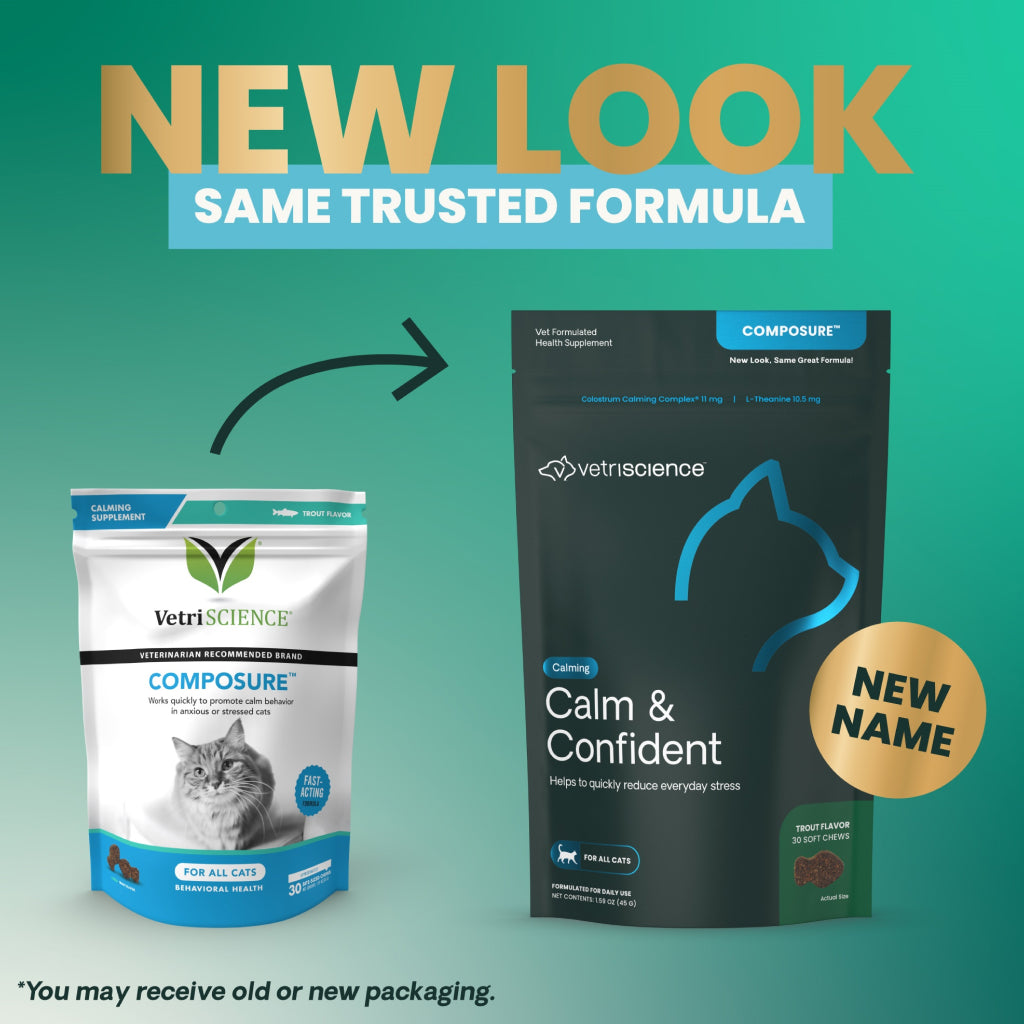 Calm & Confident chews for Cats