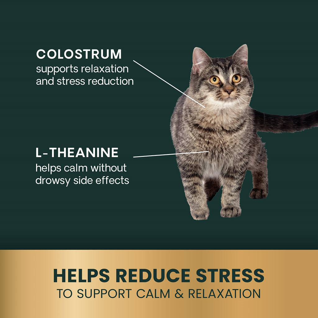 Calm & Confident chews for Cats