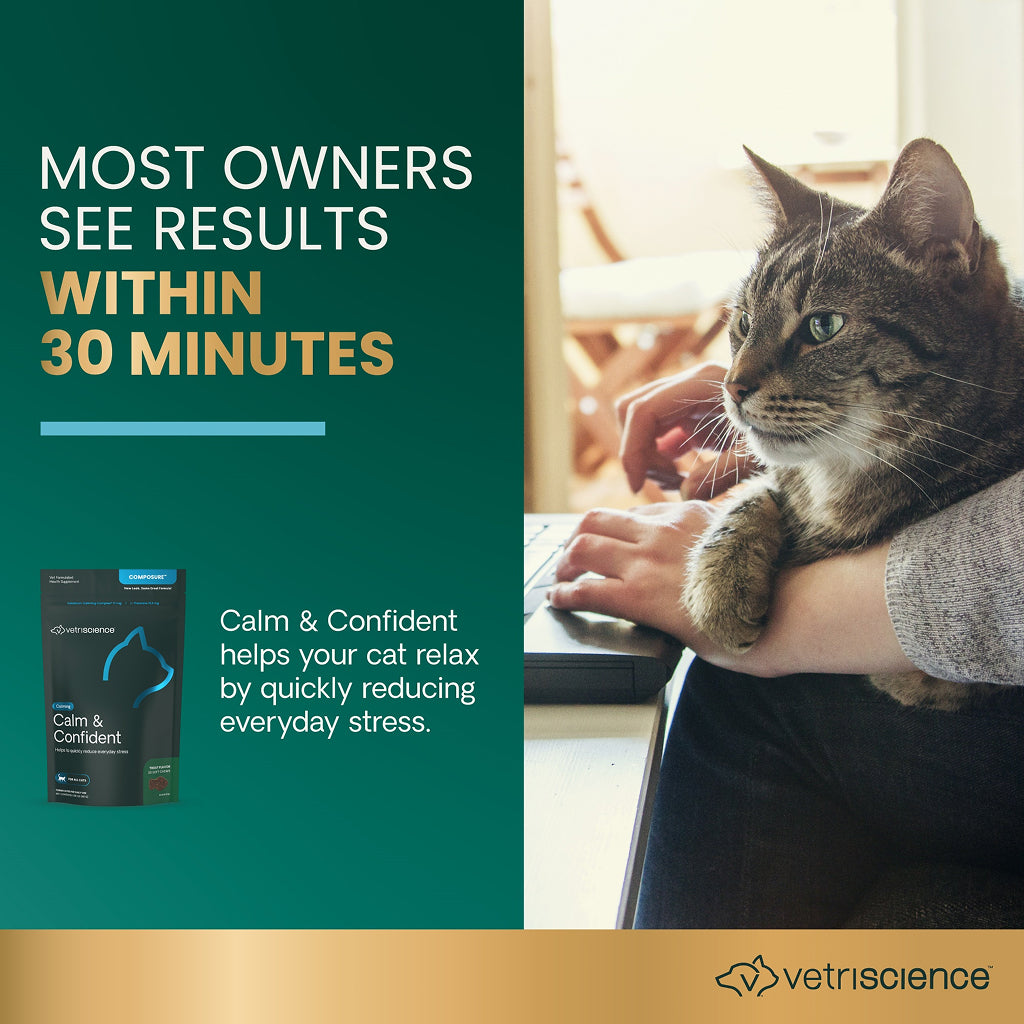 Calm & Confident chews for Cats