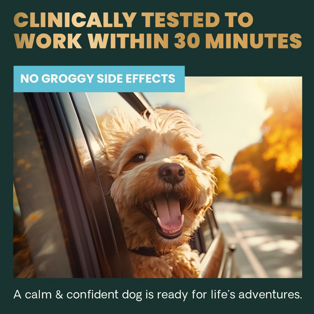 Calm & Confident Chews for Dogs Chicken Flavor