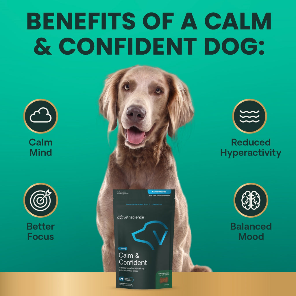 Calm & Confident Chews for Dogs Chicken Flavor