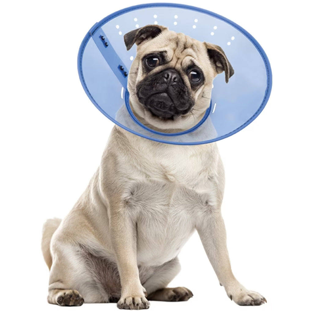 Calm Paws Calming E-Collar for Dogs