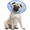 Calm Paws Calming E-Collar for Dogs