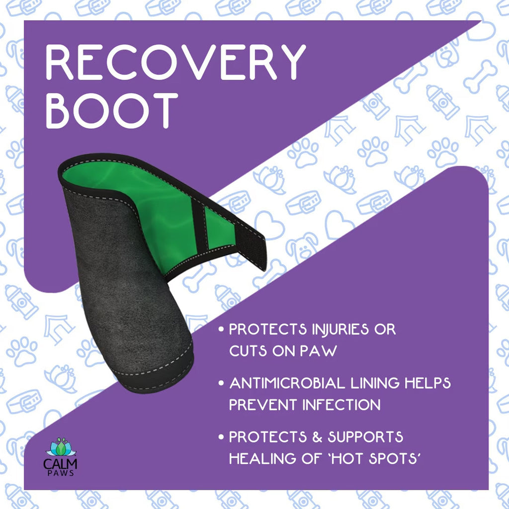 Calm Paws Recovery Dog Boot