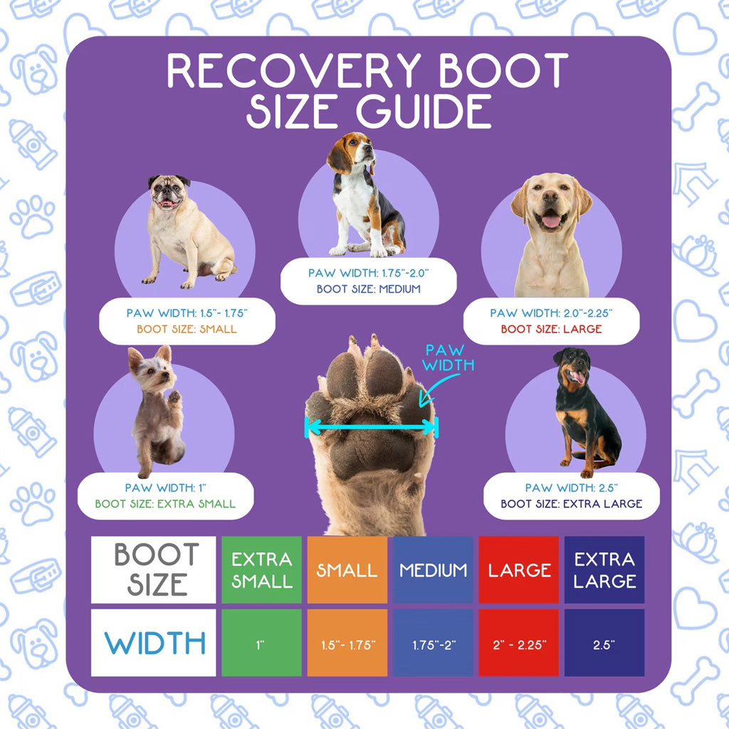 Calm Paws Recovery Dog Boot
