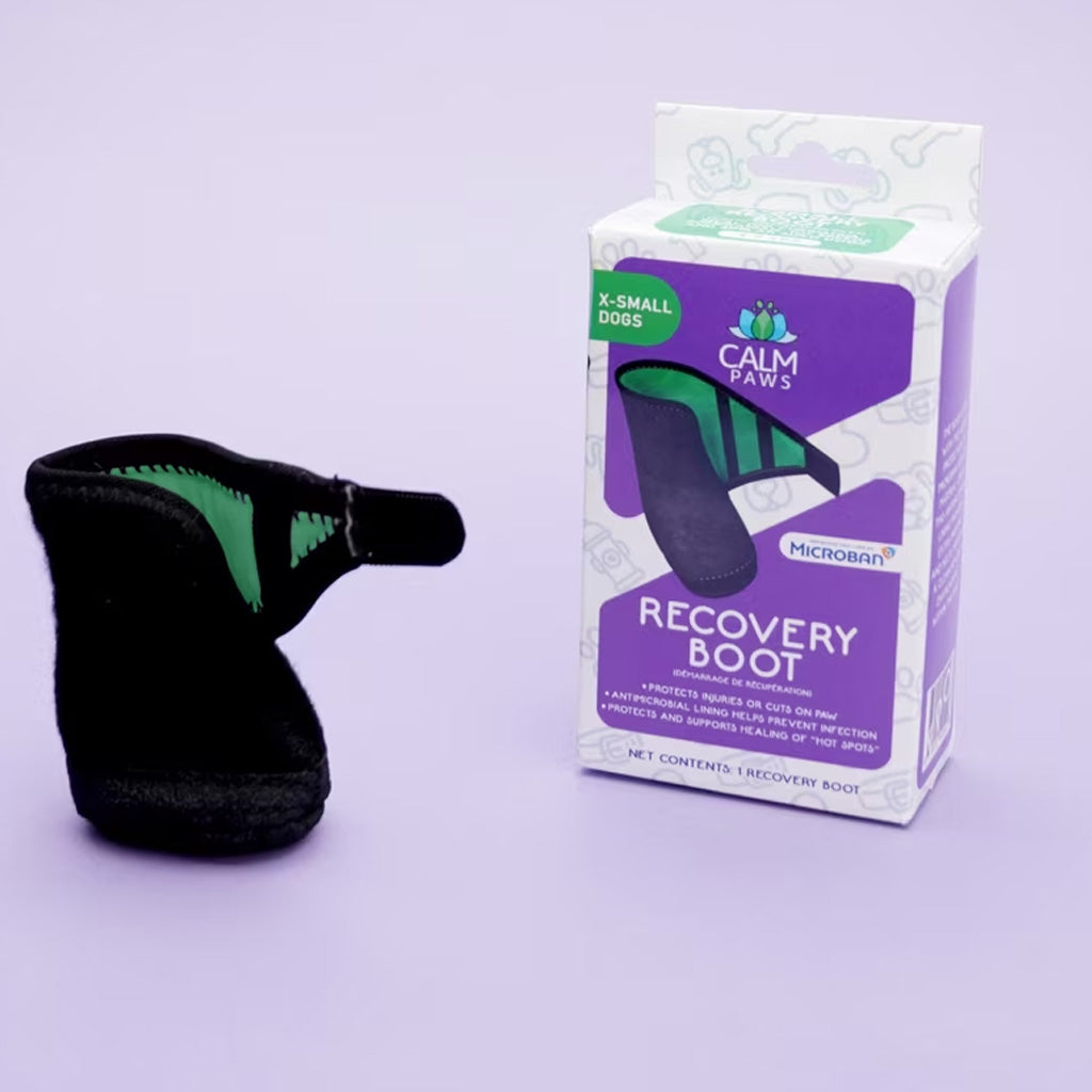 Calm Paws Recovery Dog Boot
