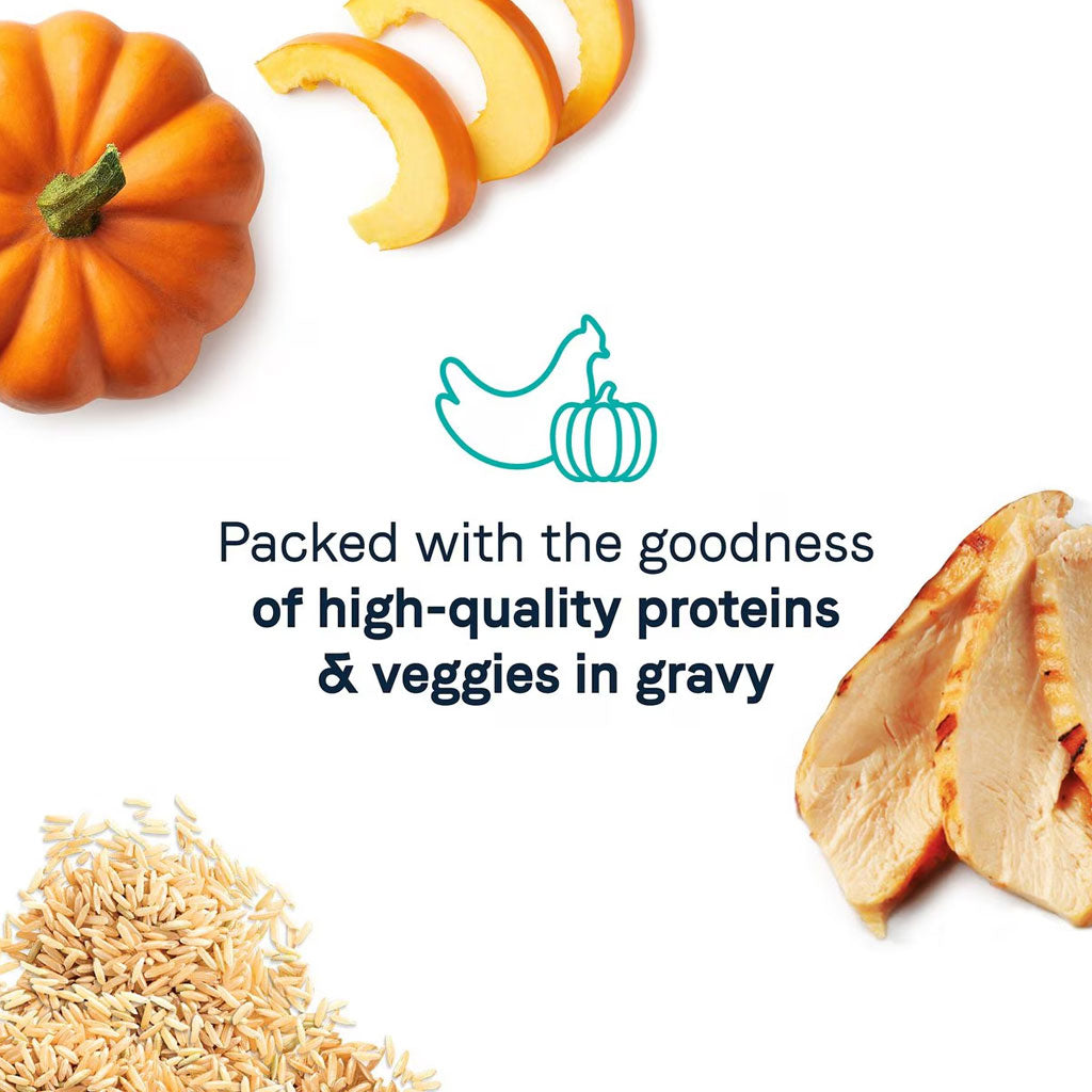 CANIDAE Balanced Bowl Chicken & Pumpkin Recipe in Gravy Wet Cat Food, 3-oz can, case of 24