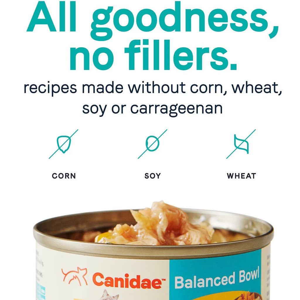 CANIDAE Balanced Bowl Chicken & Pumpkin Recipe in Gravy Wet Cat Food, 3-oz can, case of 24