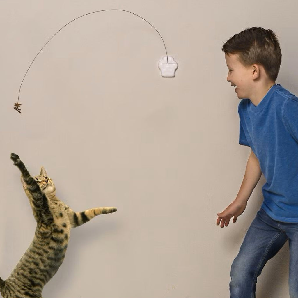 Cat Dancer Deluxe Interactive Toy for Cats