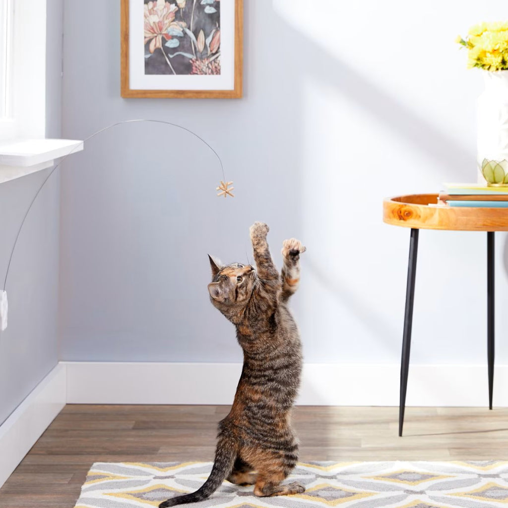 Cat Dancer Deluxe Interactive Toy for Cats