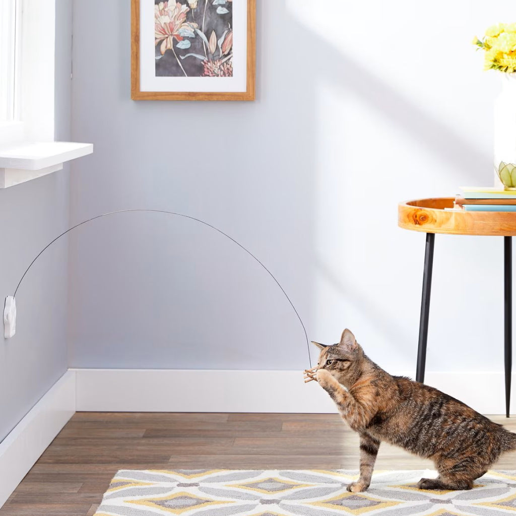 Cat Dancer Deluxe Interactive Toy for Cats