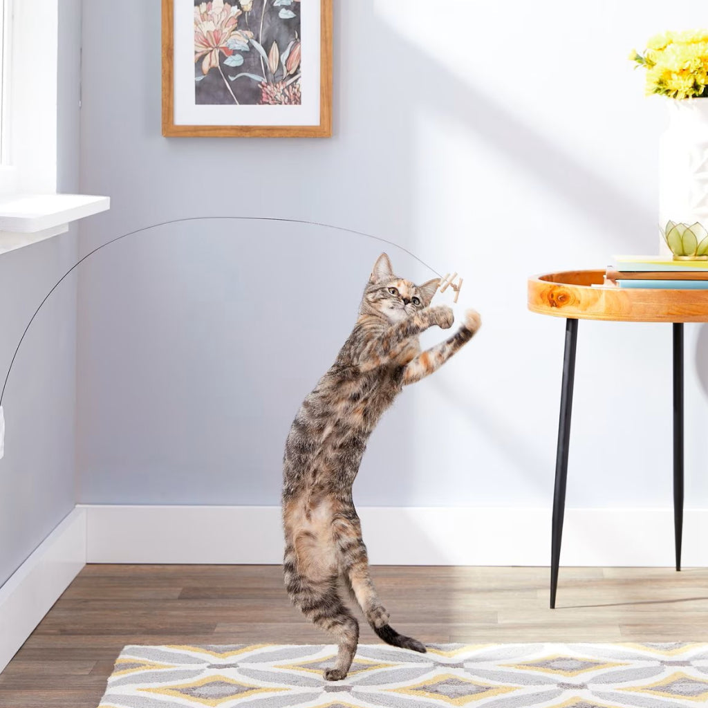 Cat Dancer Deluxe Interactive Toy for Cats