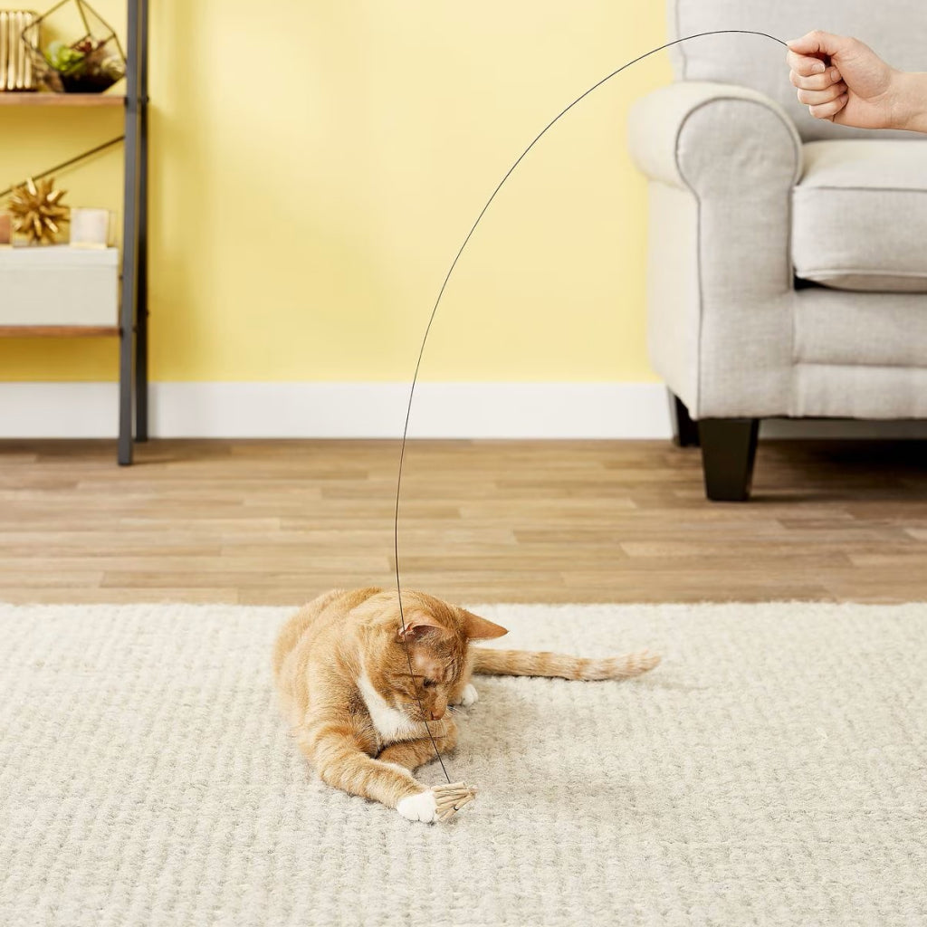 Cat Dancer Original Dancer Cat Interactive Toy