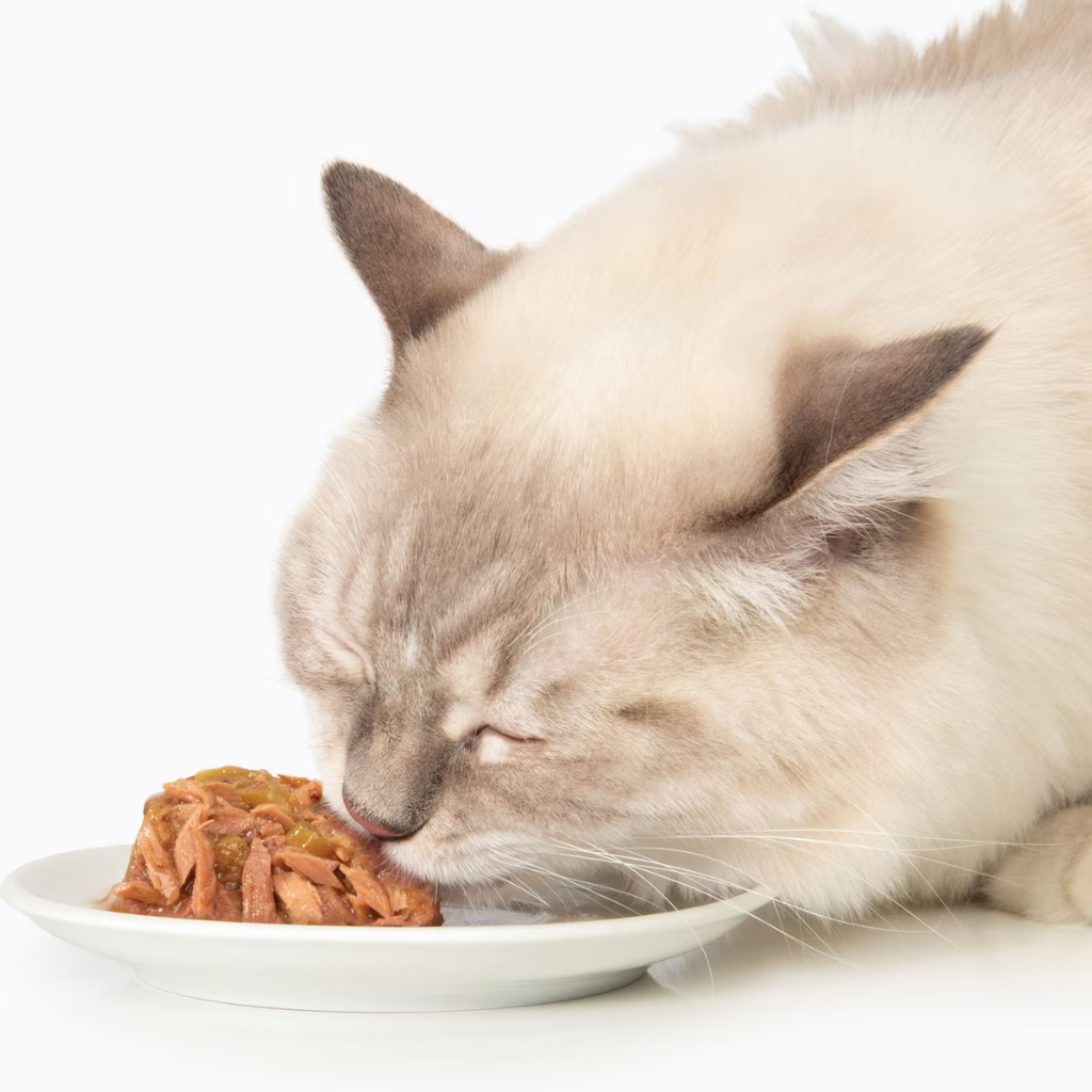 Catit Fish Dinner with Tuna & Carrots Wet Cat Food (2.8 oz)