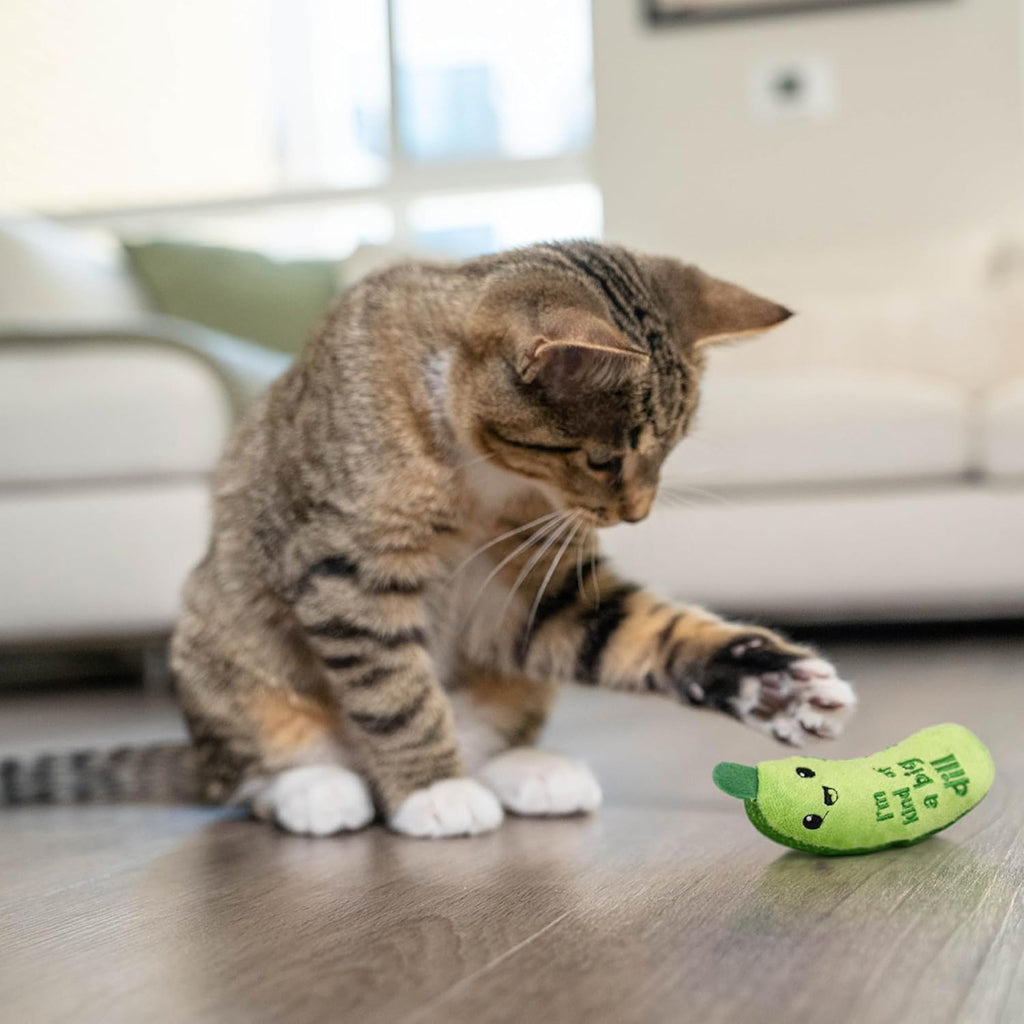 Catstages Crunchy Pickle Kicker Plush Cat Toy with Catnip