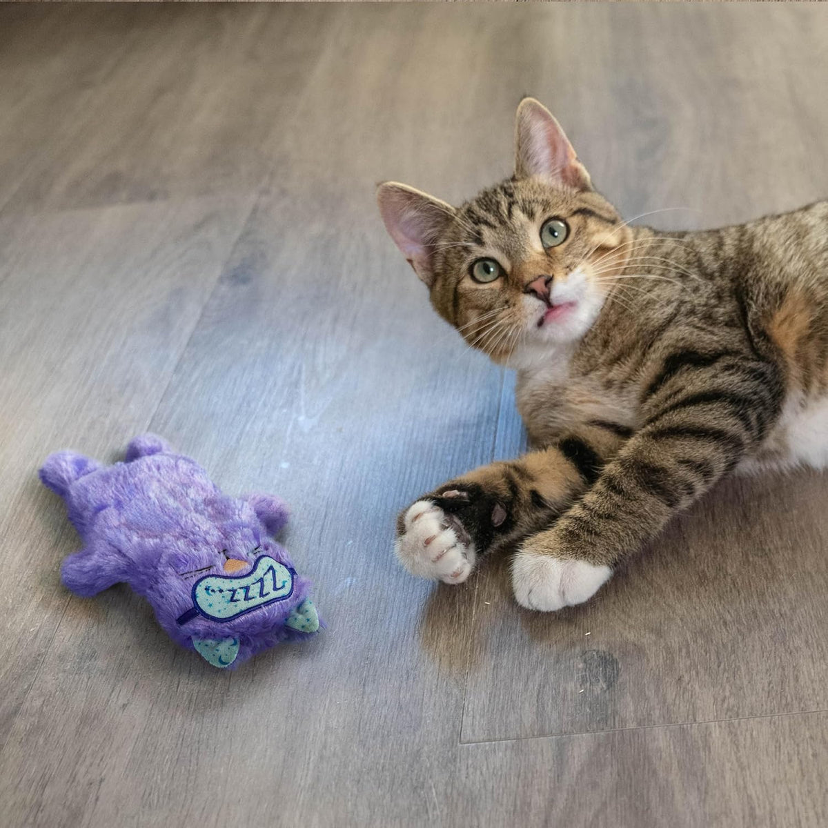 Catstages Purr Pillow Plush Cat Toy, Violet