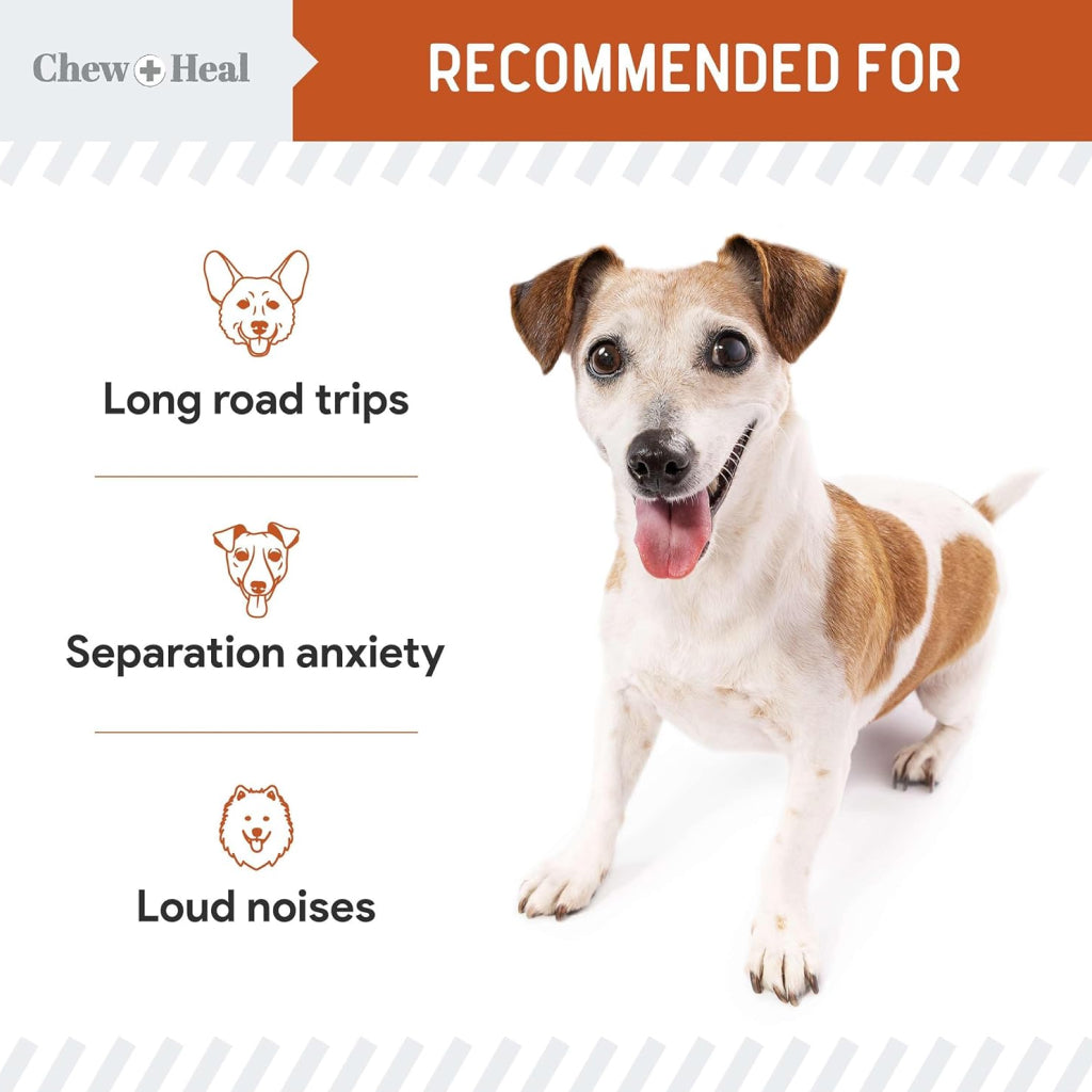 Chew + Heal Anxiety + Stress Calming Treats for Dogs