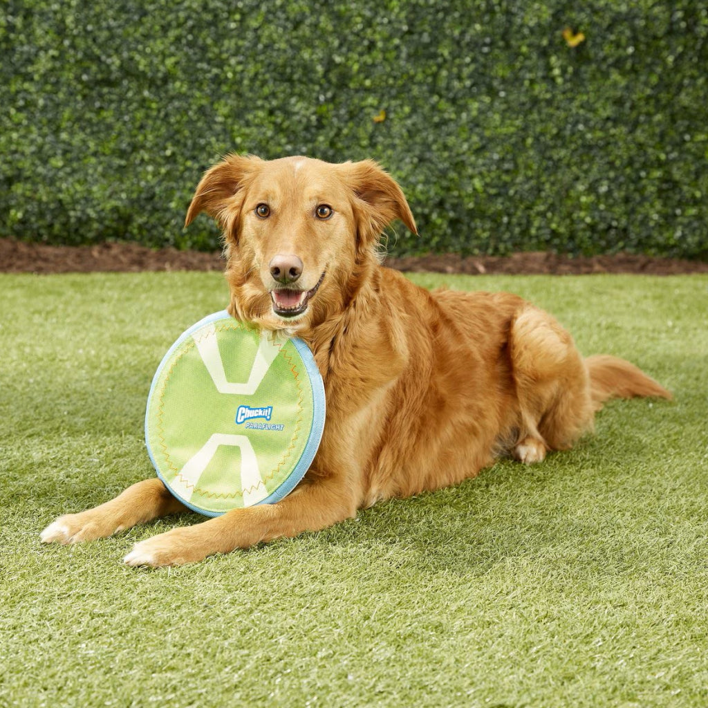 Chuckit! Paraflight Max Glow Toy For Dogs - Large