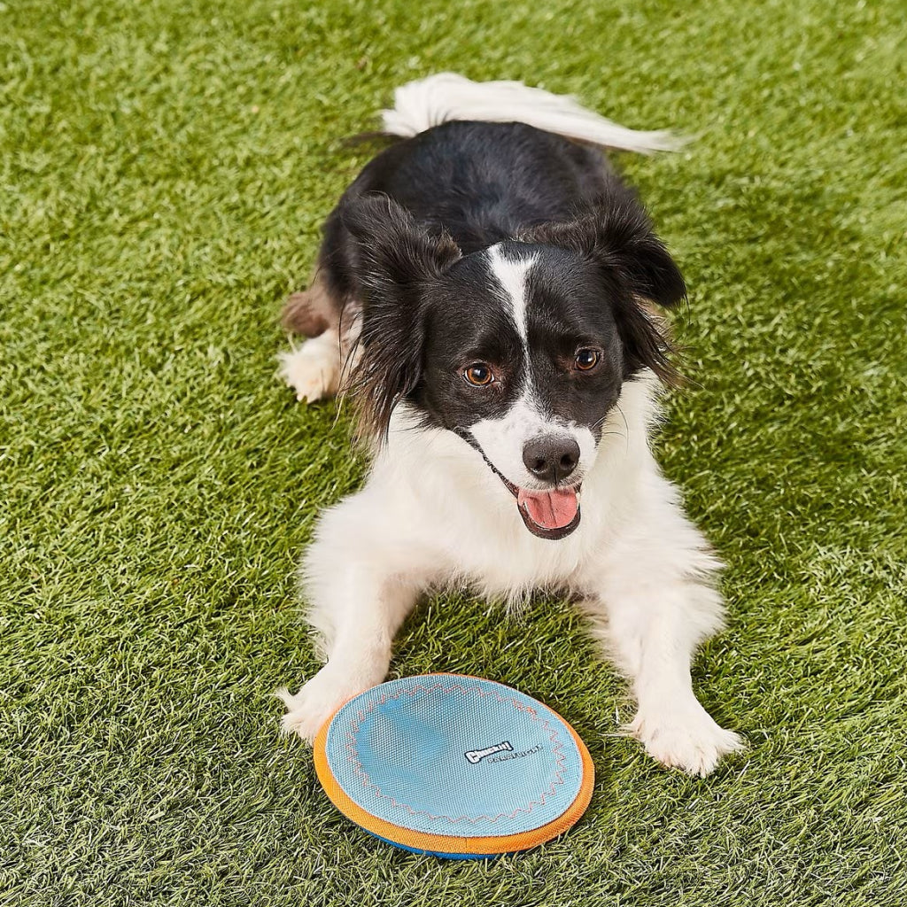Chuckit! Paraflight Toy for Dogs