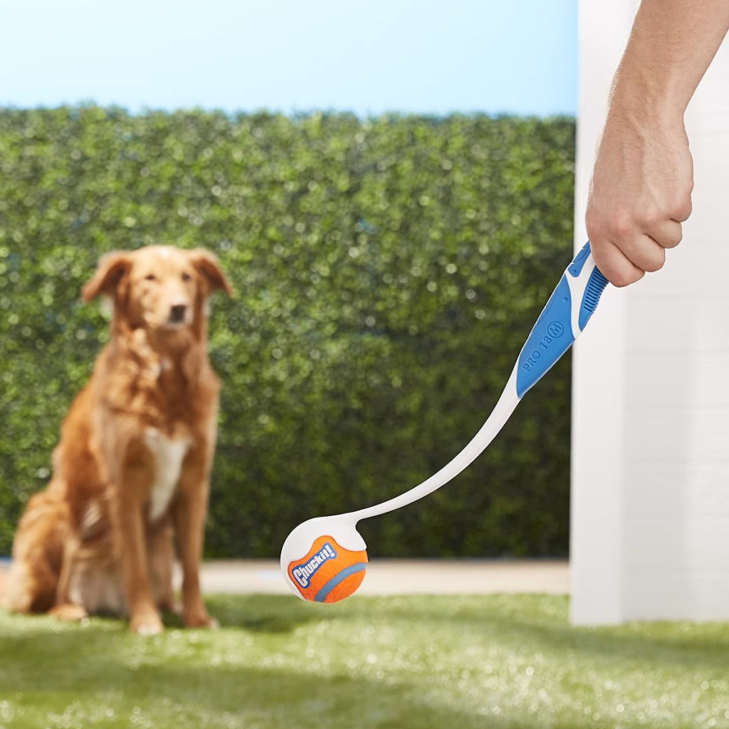 Chuckit! Pro Ball Launcher Toy For Dogs, Color Varies