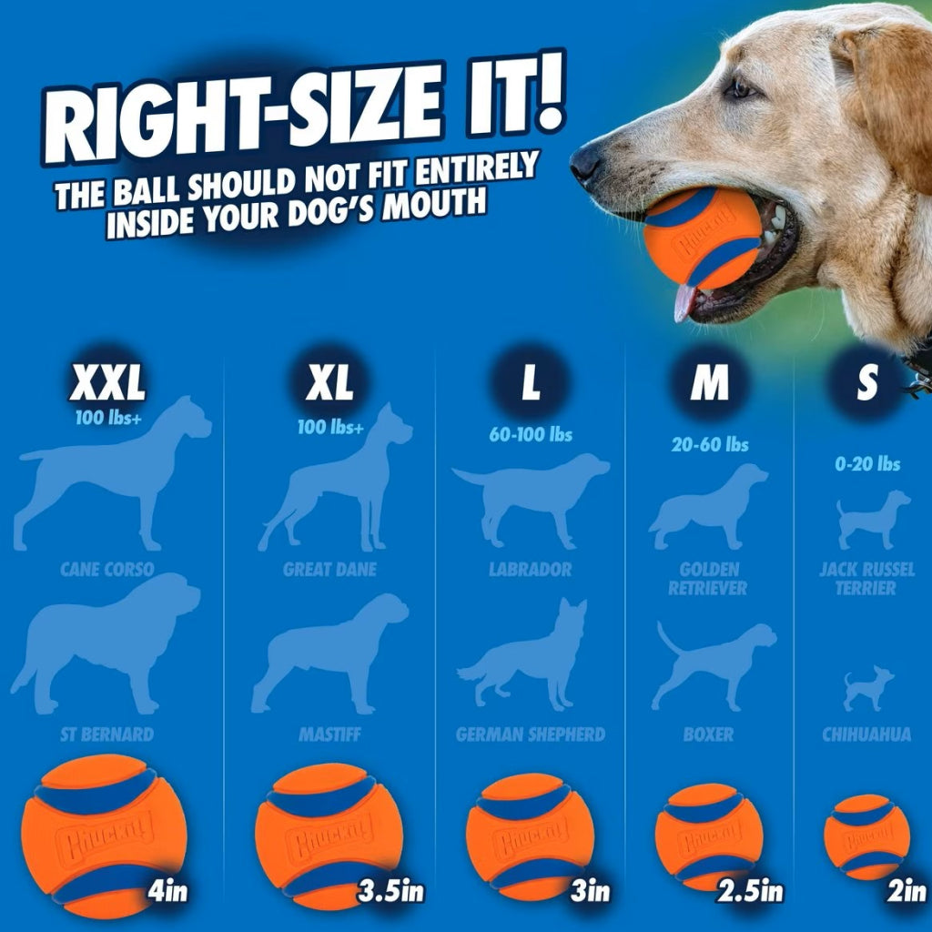 Chuckit! Pro Ball Launcher Toy For Dogs, Color Varies