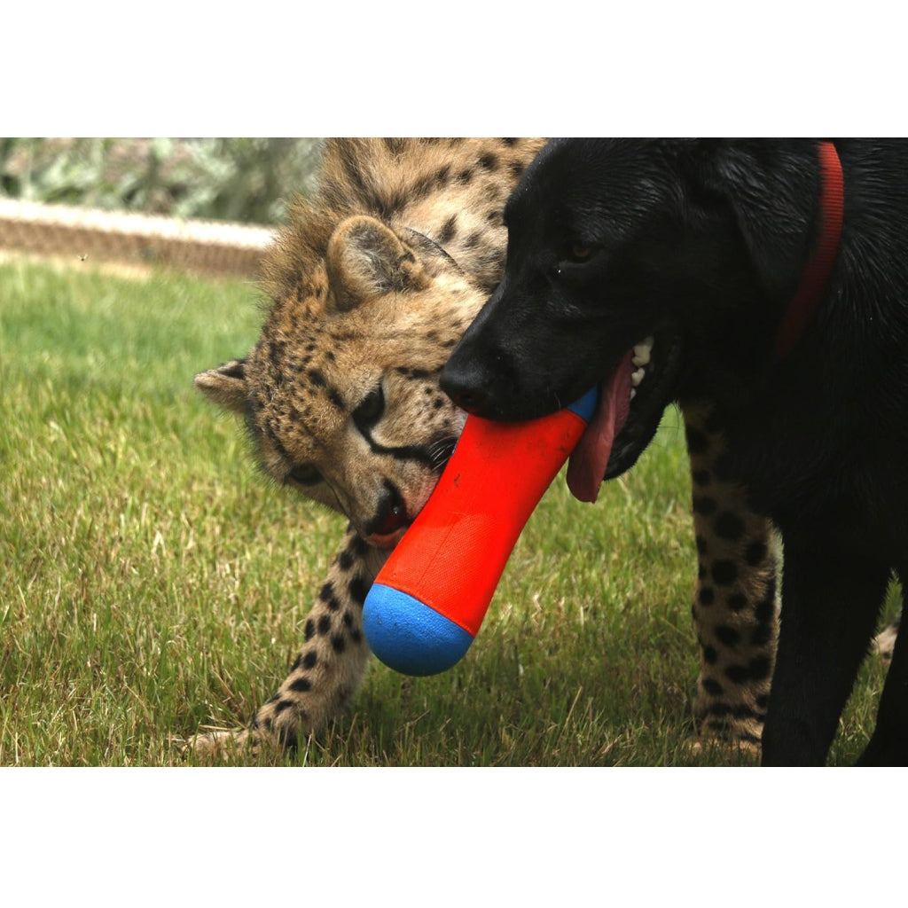 Chuckit! Tumble Bumper Toy For Dogs
