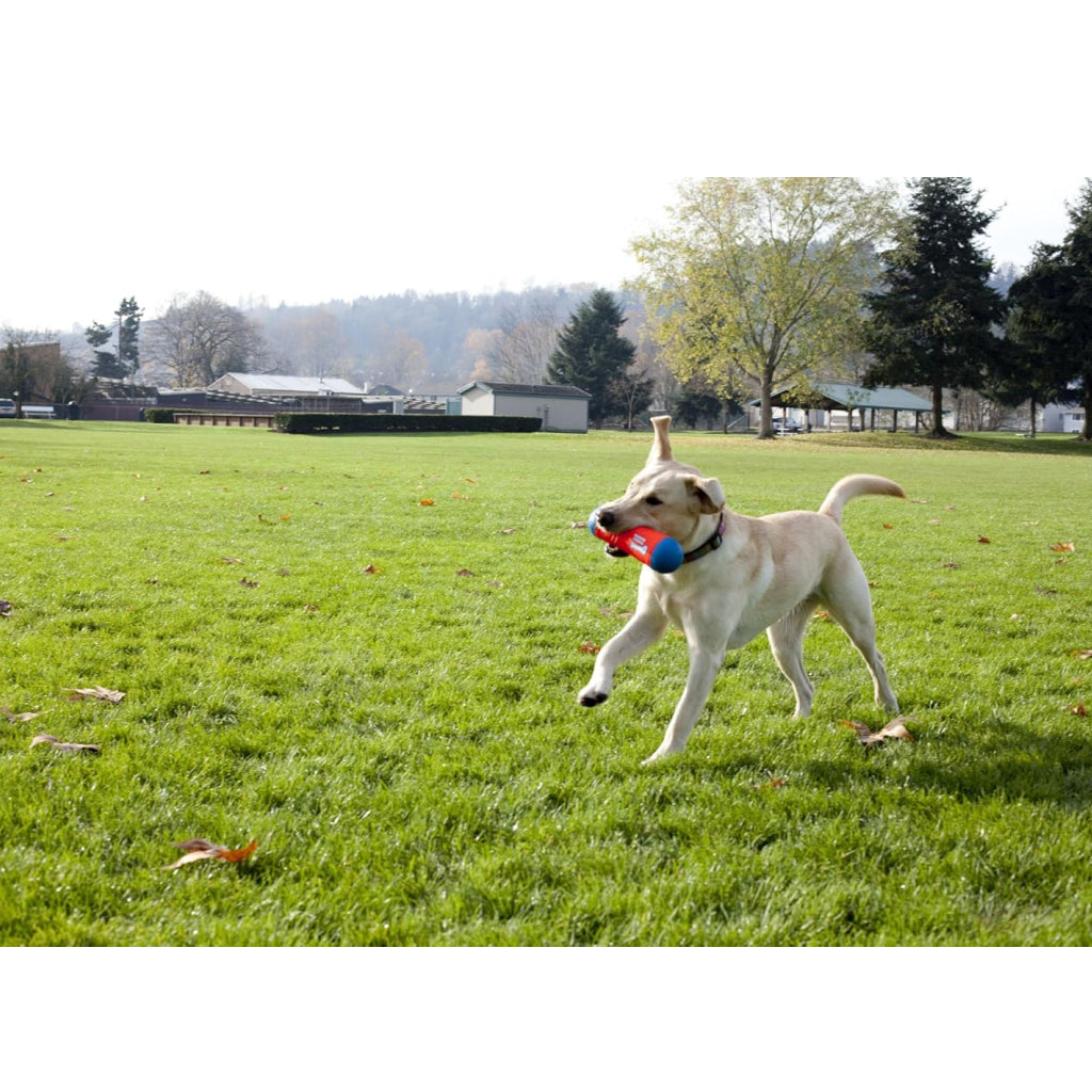 Chuckit! Tumble Bumper Toy For Dogs