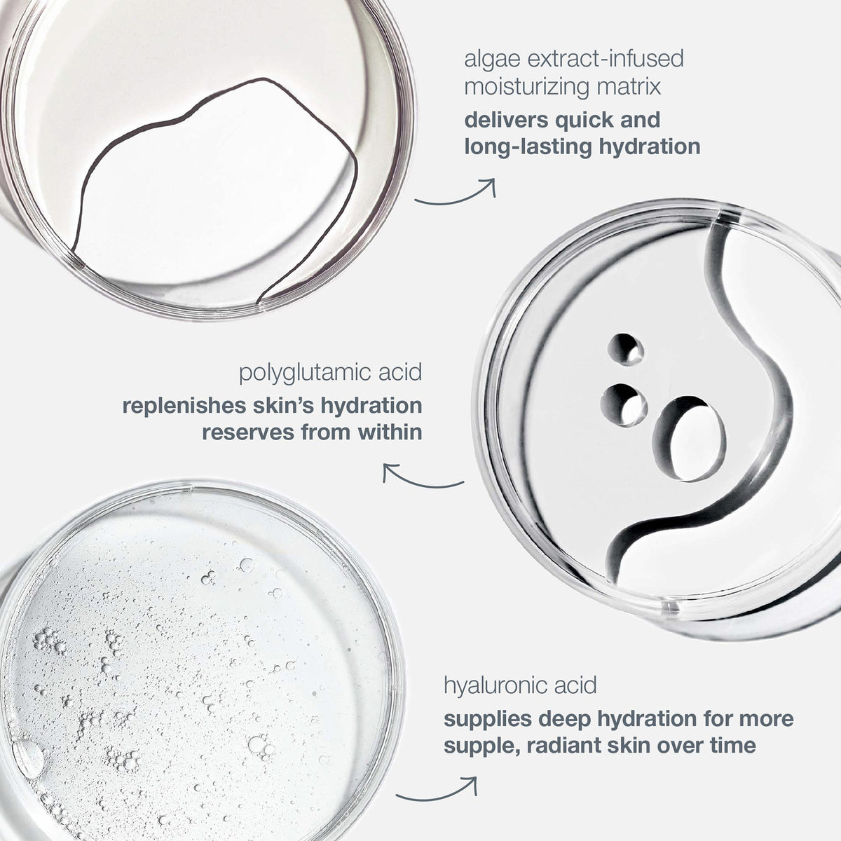 circular hydration serum - gift - rewards store