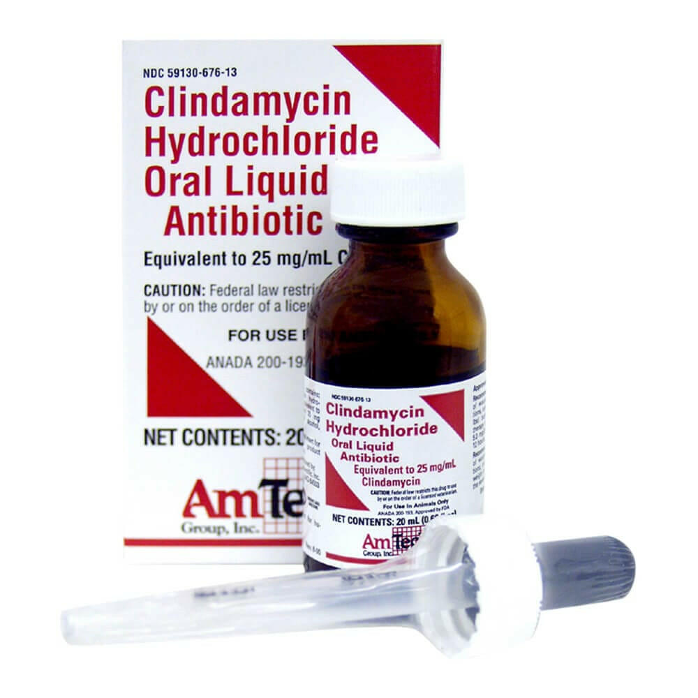 Clindamycin 25mg/ml Oral Drops (20ml), (Manufacturer may vary)