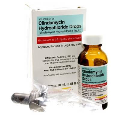 Clindamycin 25mg/ml Oral Drops (20ml), (Manufacturer may vary)