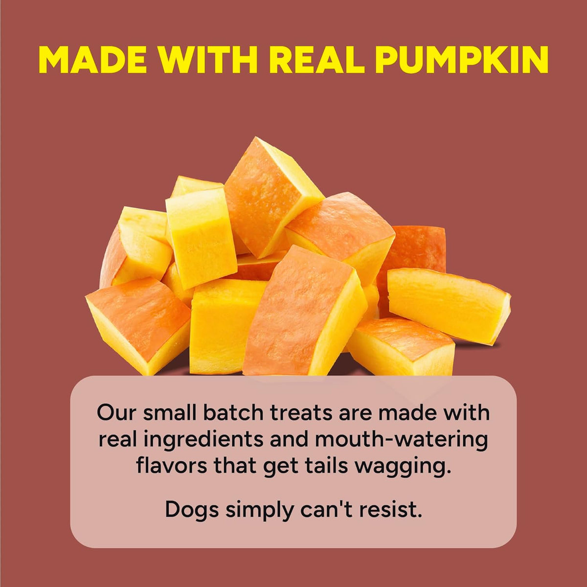 Cloud Star Dynamo Dog Tummy Soft Chews with Probiotic & Pumpkin, (14 oz)