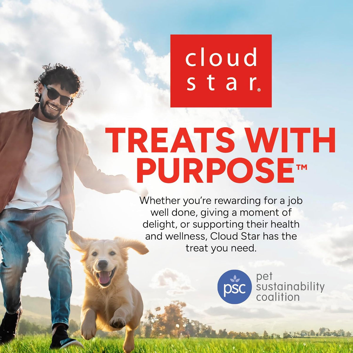 Cloud Star Dynamo Dog Tummy Soft Chews with Probiotic & Pumpkin, (14 oz)