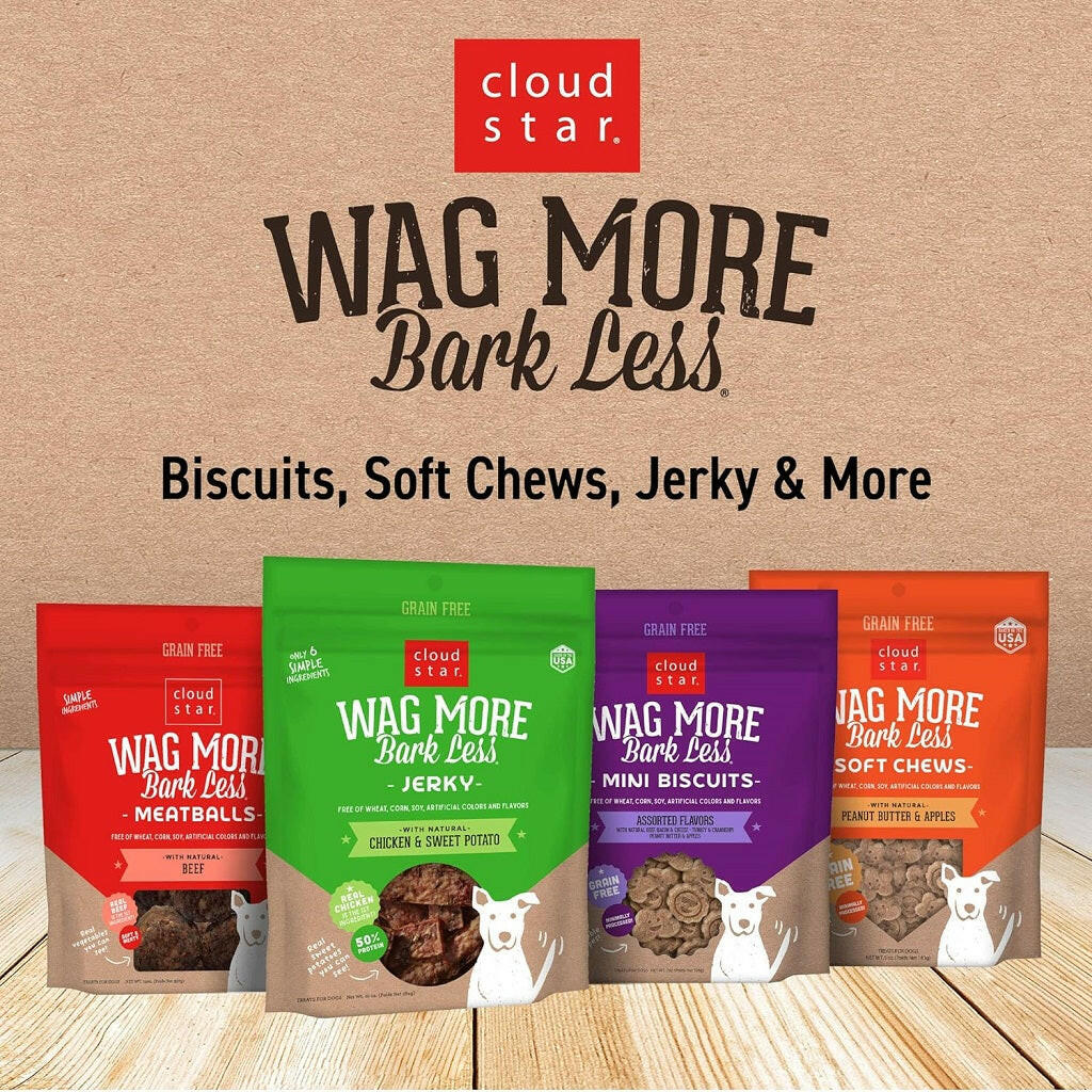 Cloud Star Wag More Bark Less Chicken, Charcoal, Parsley & Mint Dental Biscuits for Dogs (14 oz)