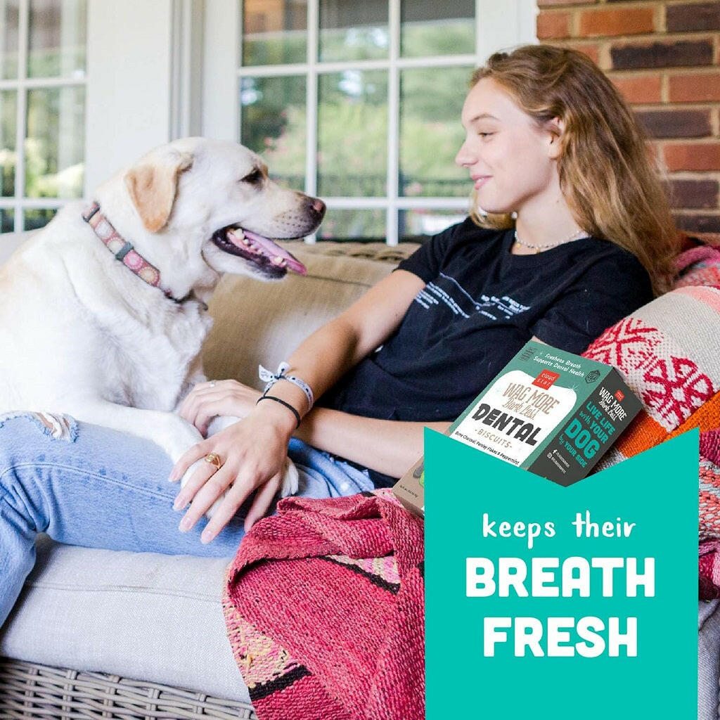 Cloud Star Wag More Bark Less Chicken, Charcoal, Parsley & Mint Dental Biscuits for Dogs (14 oz)