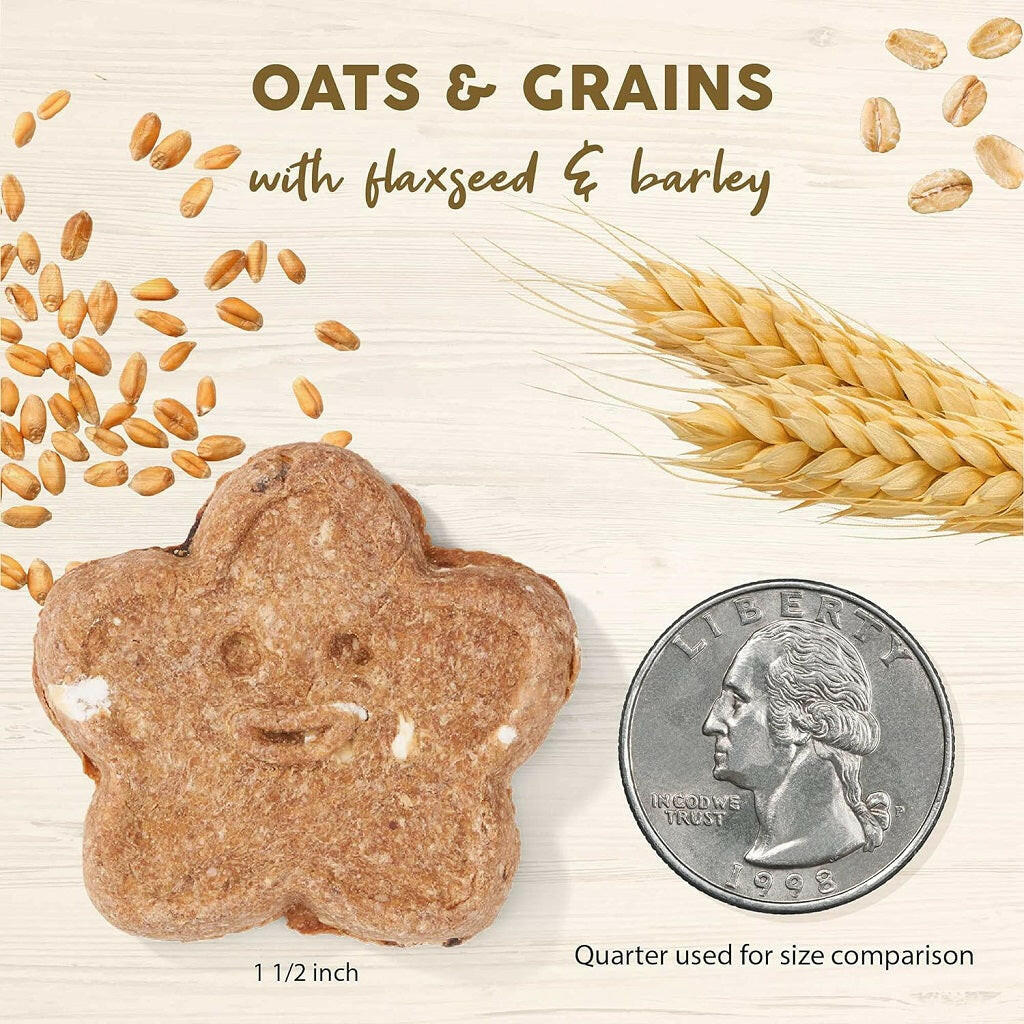 Cloud Star Wag More Bark Less Oats & Grains Peanut Butter Crunchy Dog Biscuits