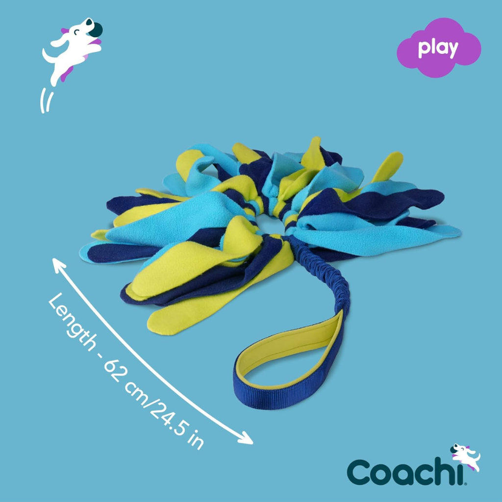Coachi Tuggi Spider Dog Toy