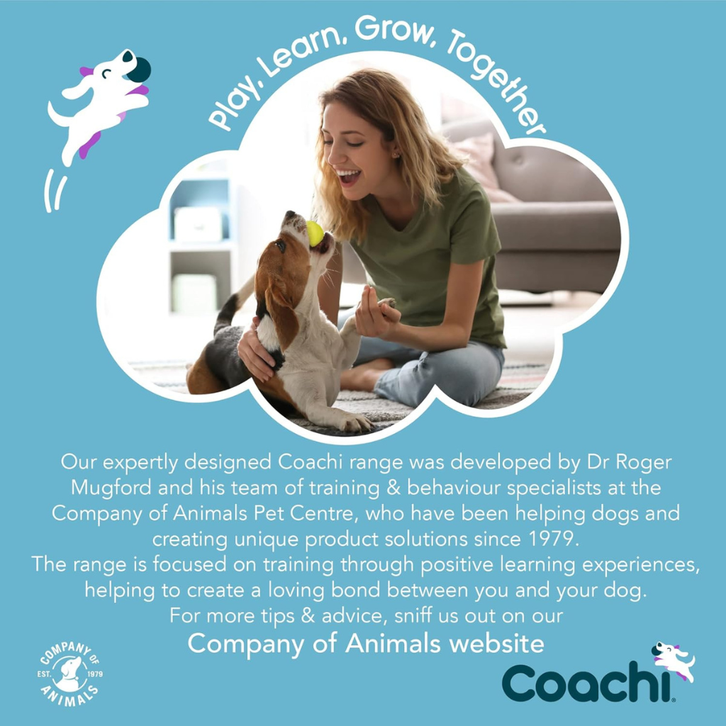 Coachi Tuggi Spider Dog Toy